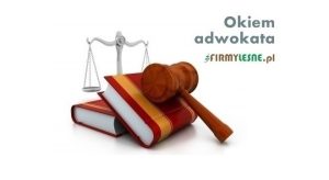 Okiem prawnika: kr&oacute;tszy termin składania ofert