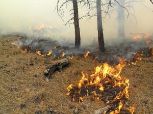 Kontrowersyjnie o&nbsp;pożarach
