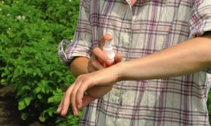 DEET na&nbsp;komary nie&nbsp;taki straszny