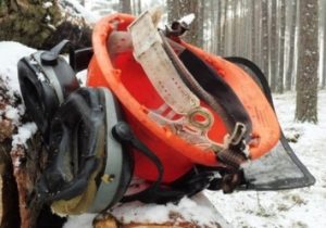 Raport PIP – o&nbsp;bezpieczeństwie w&nbsp;leśnictwie