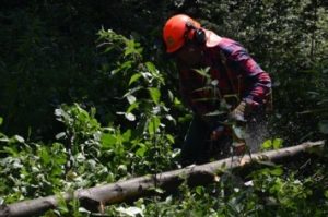 Certyfikacja drwali cz.2: Trudne techniki