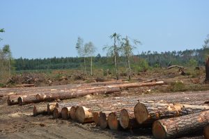 Zulowcy chcą kontroli