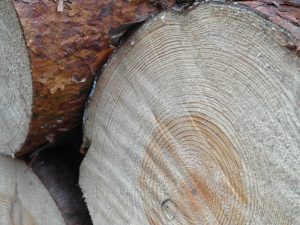 Wygrana sprawa o&nbsp;waloryzację