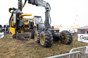 Pokazy na&nbsp;Forest SHOW