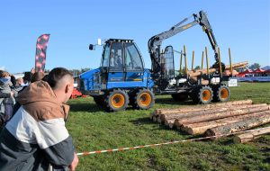 Weź udział w&nbsp;Polish Forestry Challenge!