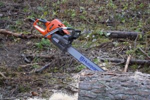 Smary i&nbsp;paliwa na&nbsp;Forest SHOW