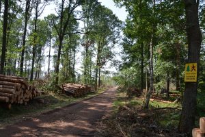 Wypadek w&nbsp;Teodor&oacute;wce