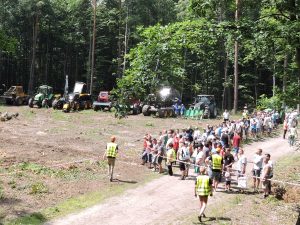 Przetarg na&nbsp;kilka nadleśnictw