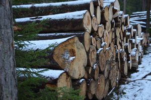 Inicjatywa dla bezpieczeństwa