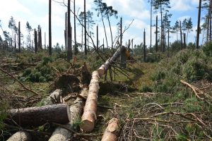 Śmierć przy samowyrobie