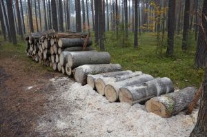 Wypadek w&nbsp;Staszowie