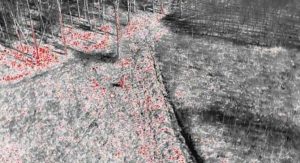 Służba Leśna patrzy z&nbsp;g&oacute;ry