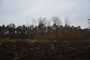 Wypadek w&nbsp;Kozienicach