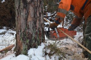 Raport o&nbsp;bezpieczeństwie cz.&nbsp;2. Szkolenia i&nbsp;kontrole