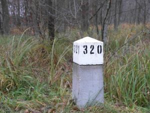 Zgłoszenia do&nbsp;"Zespoł&oacute;w Las&oacute;w Społecznych" otwarte