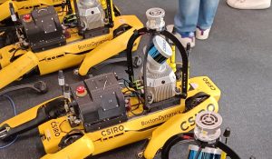 SILVANUS ochroni las