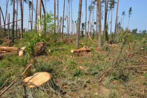 Analiza dla ograniczeń