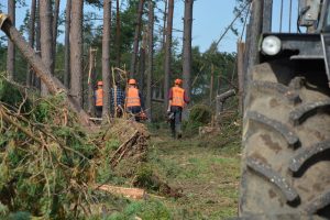 Wypadk&oacute;w mniej, więcej śmierci