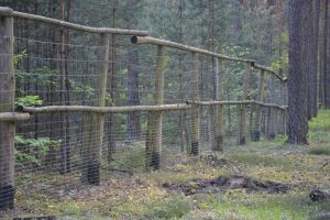 Bojkot Narady o&nbsp;Lasach